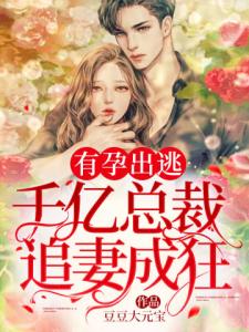 有孕出逃：千亿总裁追妻成狂