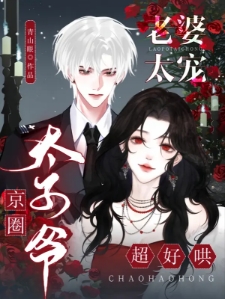 老婆太宠，京圈太子爷超好哄