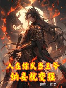人在综武当王爷，纳妾就变强