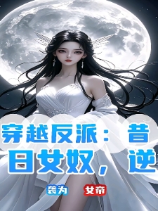 穿越反派：昔日女奴，逆袭为女帝