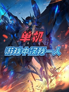 单机，游戏中仅我一人