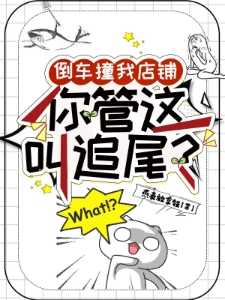 倒车撞我店铺，你管这叫追尾？