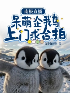 南极直播：呆萌企鹅上门求合拍