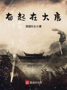 奋起在大唐