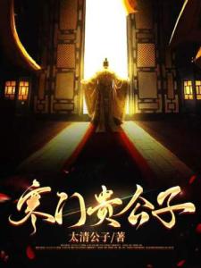 寒门贵公子